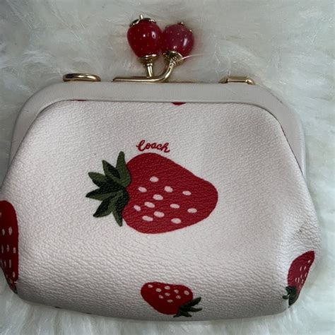 Nora Kisslock Card Case With Wild Strawberry Print.